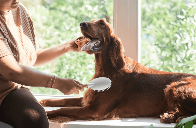 Grooming