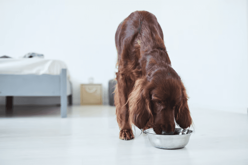 Nutrition