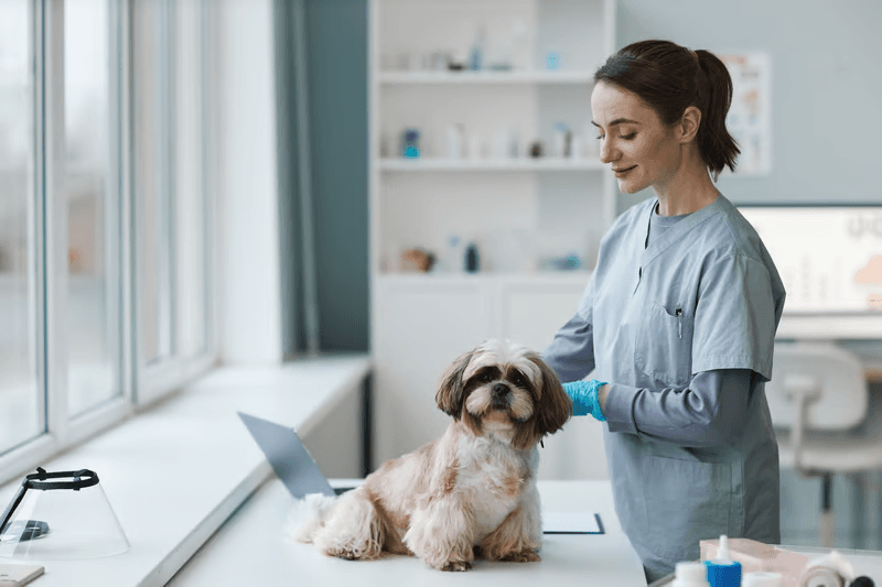 Dr. Maya Okafor