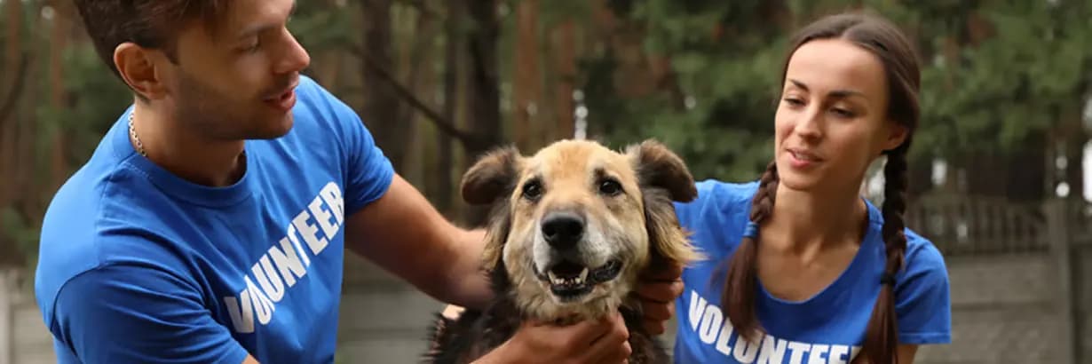 Two volunteers in blue T-shirts petting a smiling dog