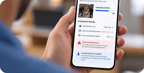3. Automated Review