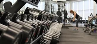A row of dumbbells in a bright gym